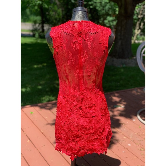 Akira Lace Mini Dress - Picture 3 of 4